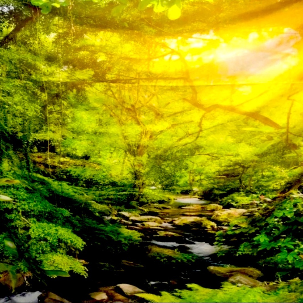 Green Velvet Nature Backdrop For Photography